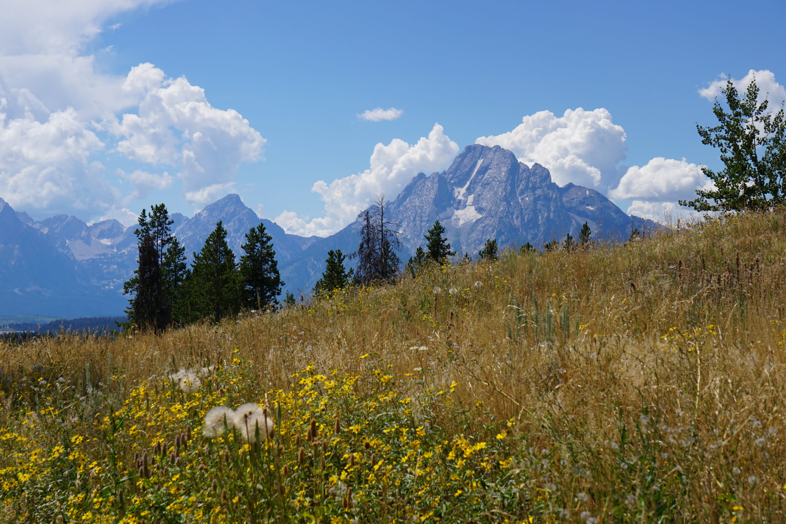 Grand Teton National Park